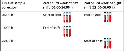 Disruption of cellular immune response among male rotating night shift workers in Spain– The HORMONIT study